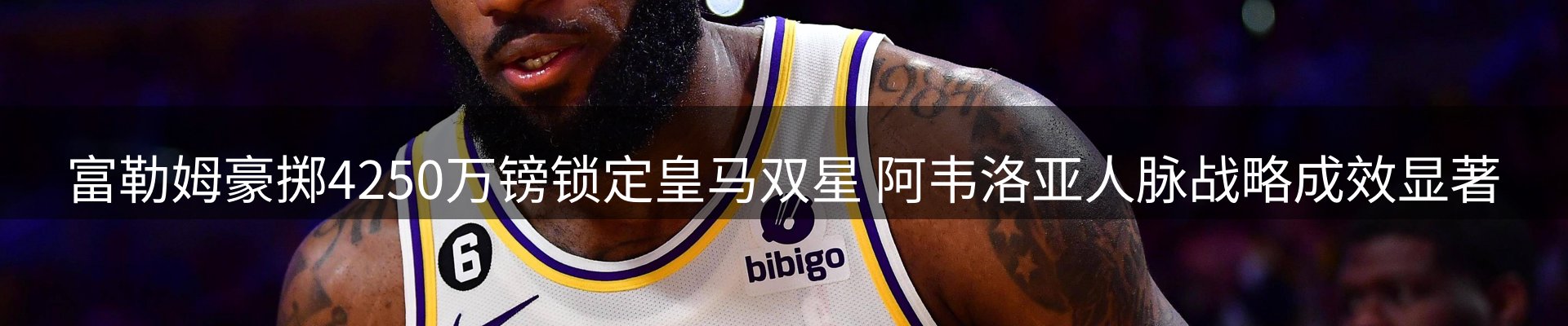 网站资讯